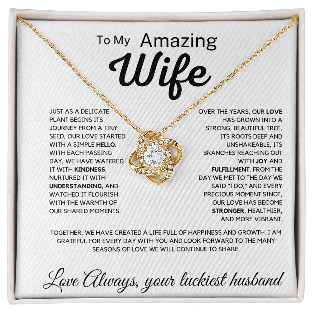 To My Amazing Wife    Life Full Of Happiness